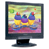 LCD Flat Panel Monitor Rental